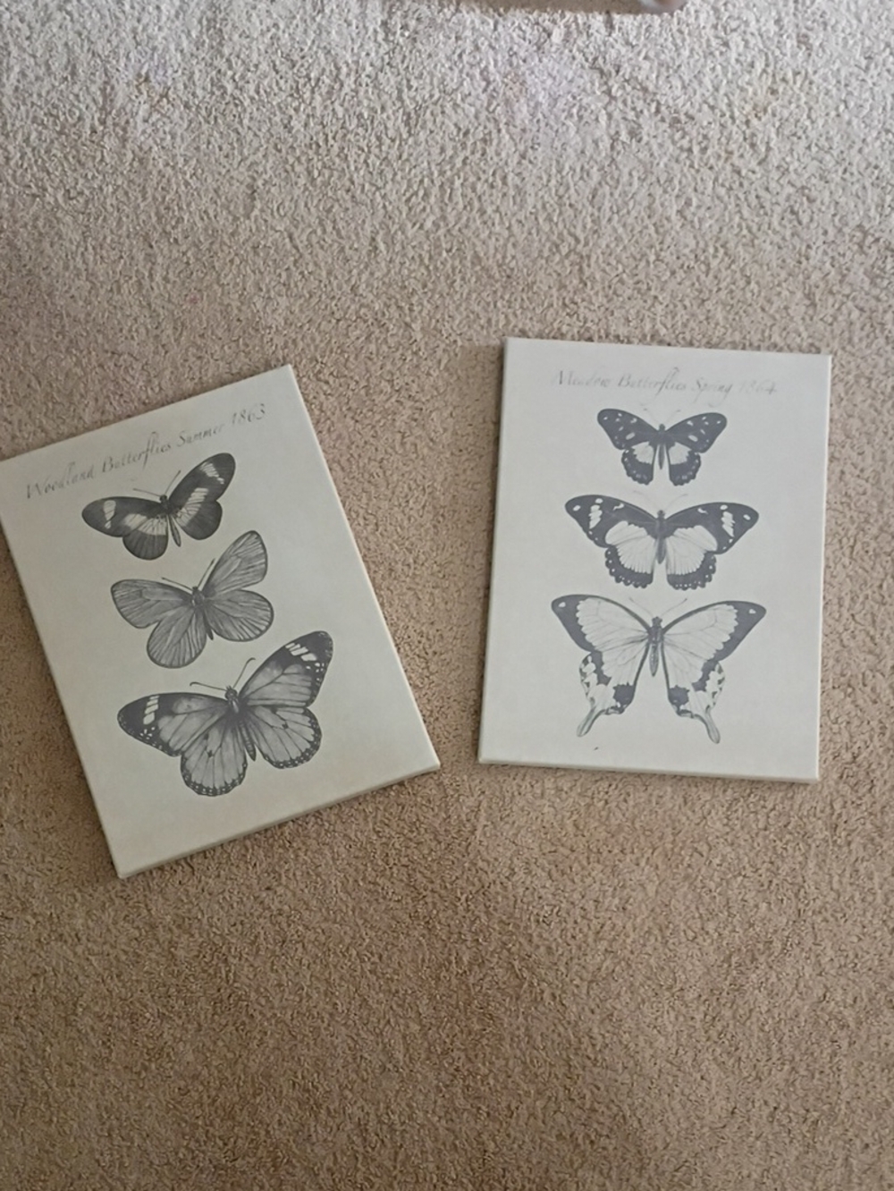 Stretch Canvas Butterfly Art